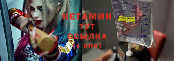 твердый Пересвет