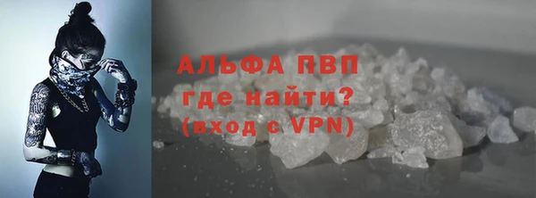 твердый Пересвет