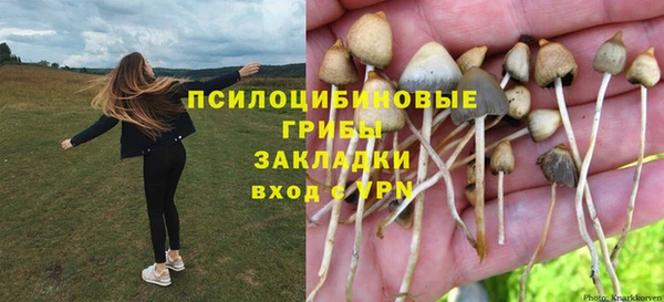 СК Переславль-Залесский