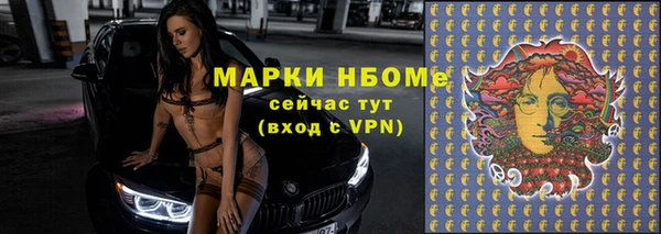 твердый Пересвет